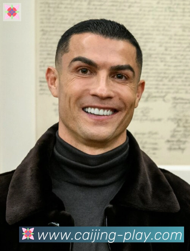 维尼修斯